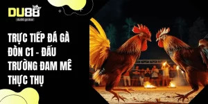 trực tiếp đá gà đòn C1